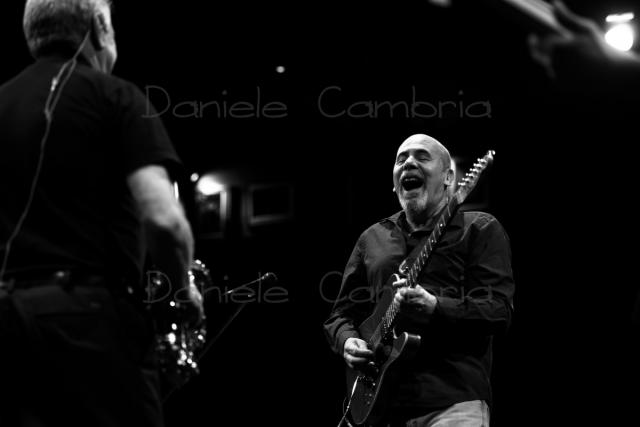Spyro Gyra (007)
